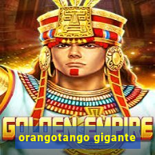 orangotango gigante